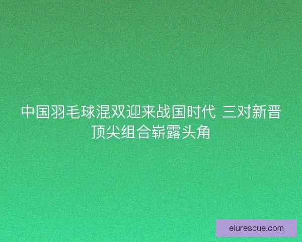 中国羽毛球混双迎来战国时代 三对新晋顶尖组合崭露头角